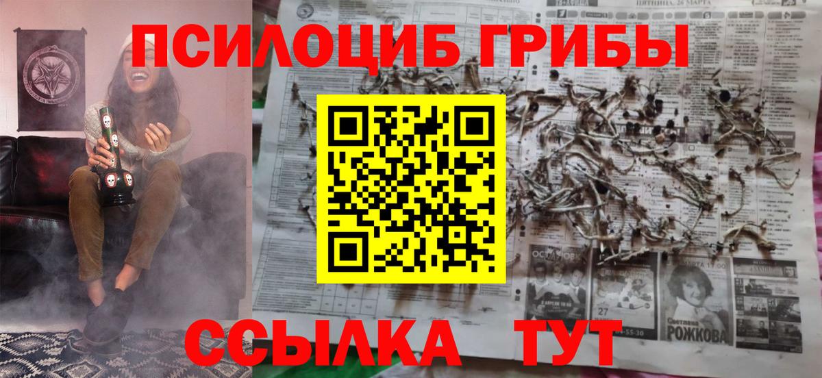 Псилоцибиновые грибы GOLDEN TEACHER  Вход с VPN  Богородск  Галлюциногенные грибы Psilocybe 