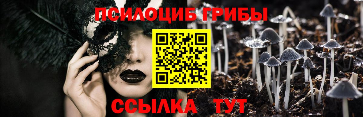 Галлюциногенные грибы мухоморы Богородск